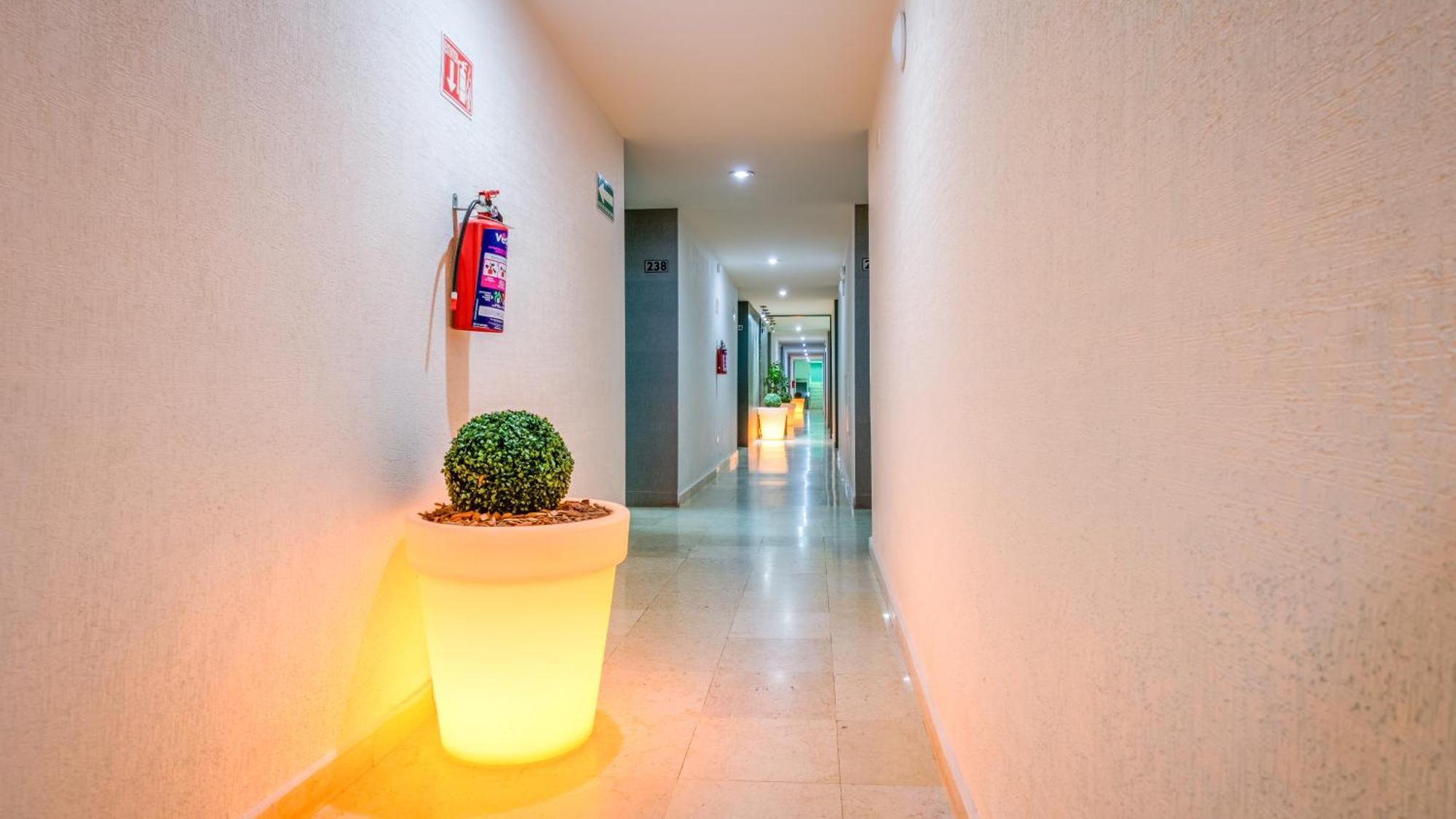 Homesuites Rotarismo Culiacán Exterior foto